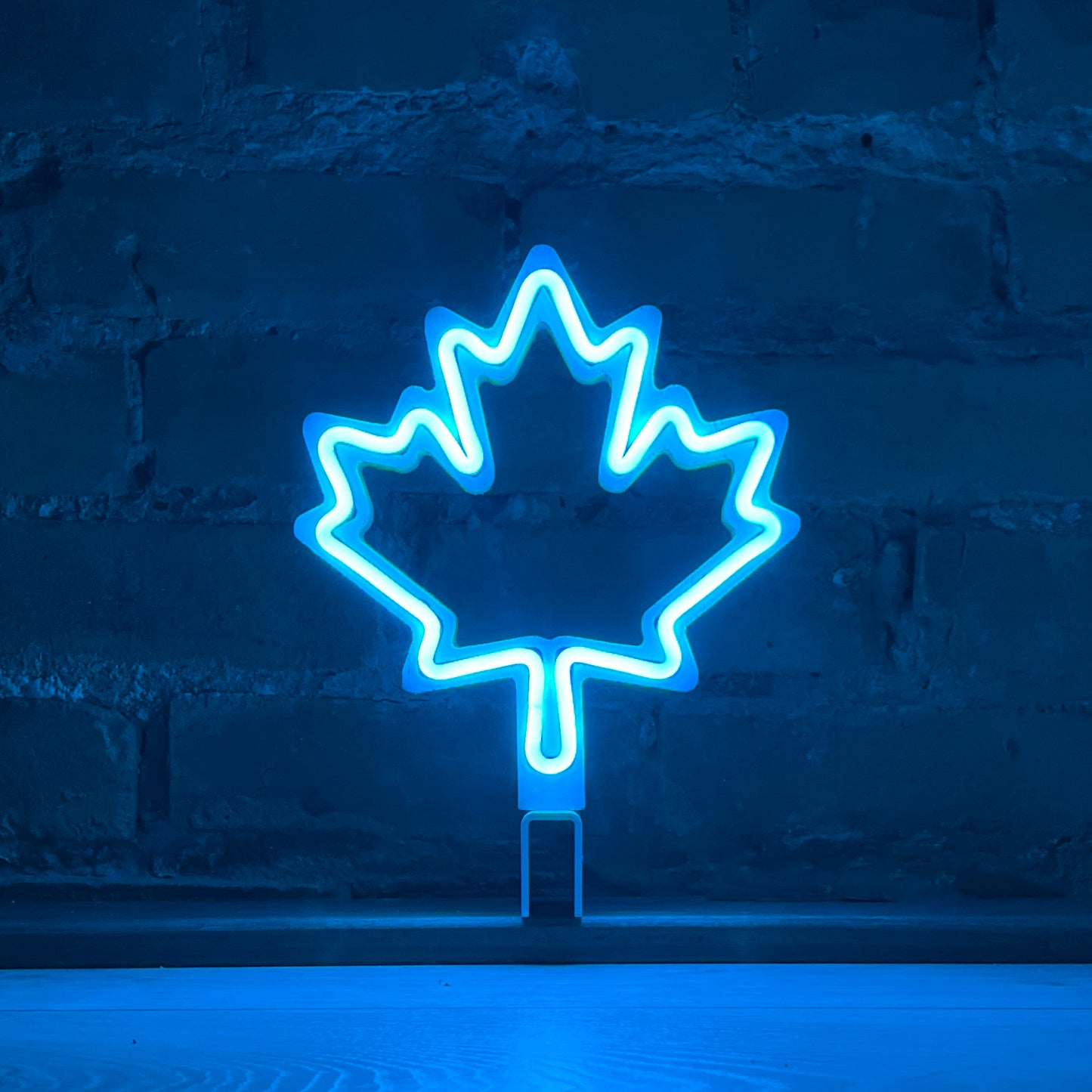 Maple Leaf - Cyan